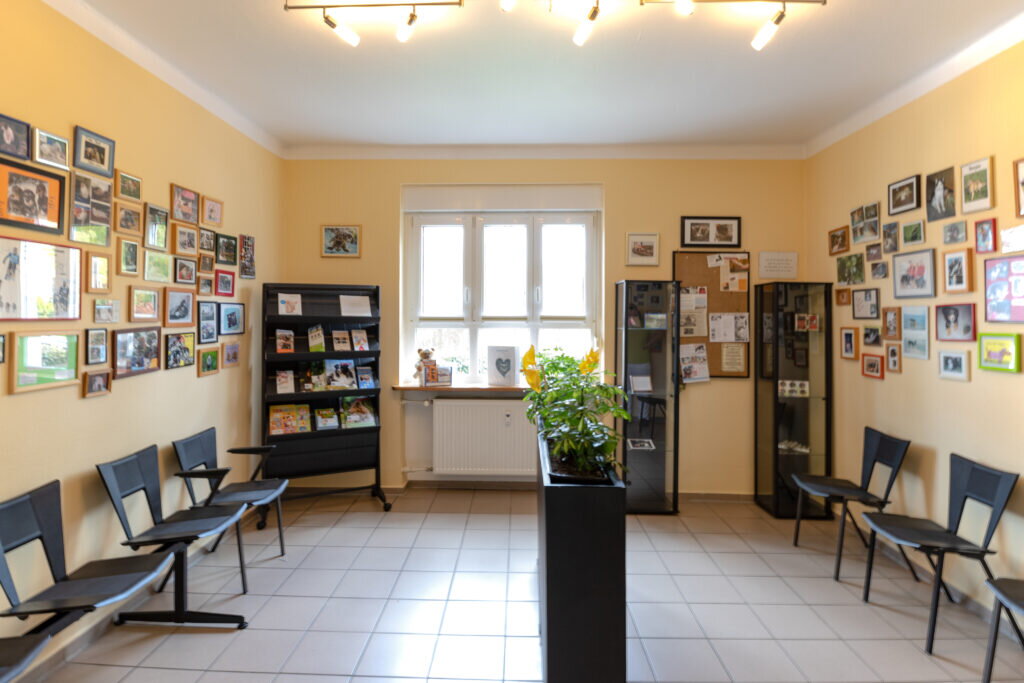 Waiting room of the Small Animal Practice Lisa Nierhaus in Mosbach with a wall of patient photographs